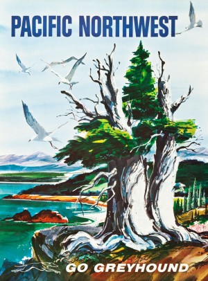 Greyhound Bus Travel Poster for Pacific Northwest
